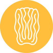 Pecan Icon