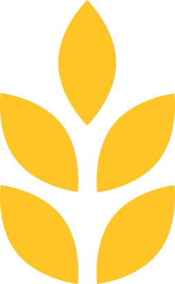 Grains
