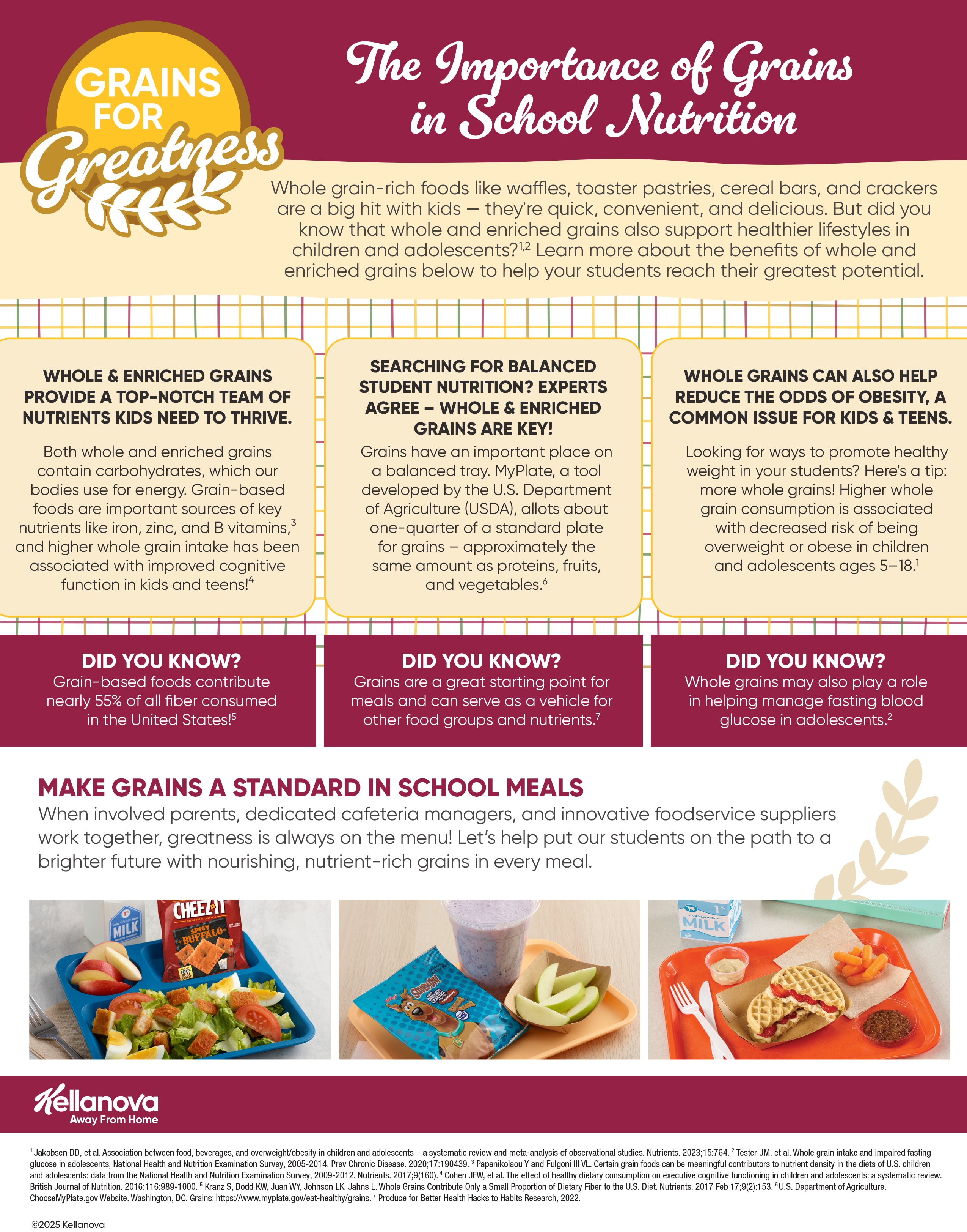 K-12 Grains Education Sheet